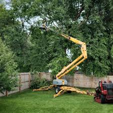 Best Mulching Services  in Staic, CA